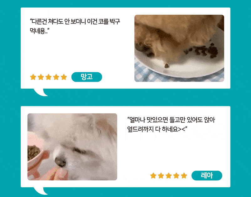 86565_03.gif