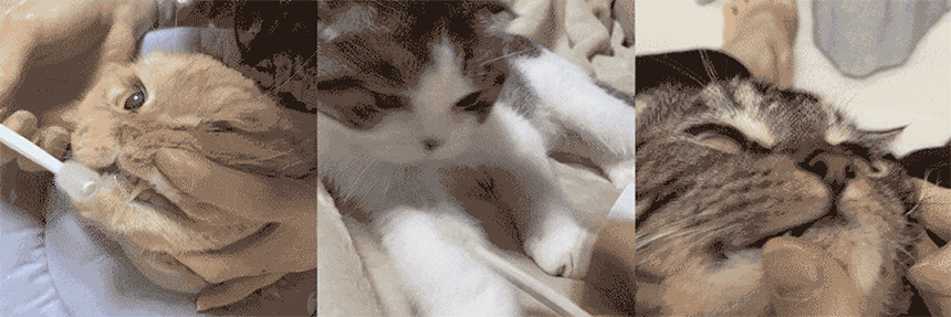 93575_2.gif