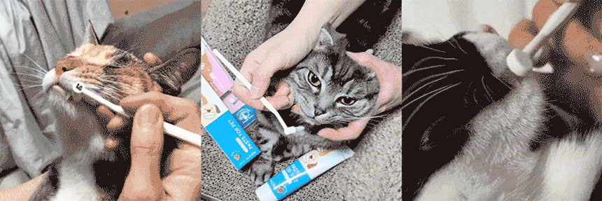 93575_3.gif