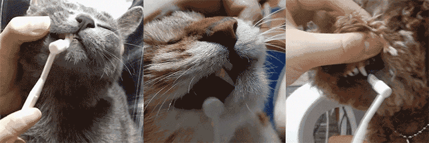 93575_4.gif
