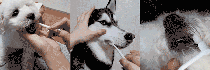 93575_5.gif